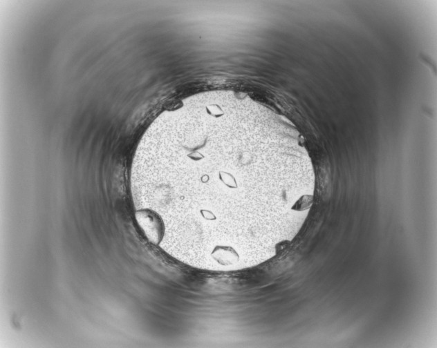 X0000100230470200806271754