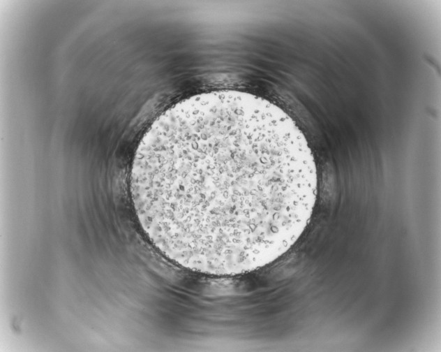 X0000100230473200806271754