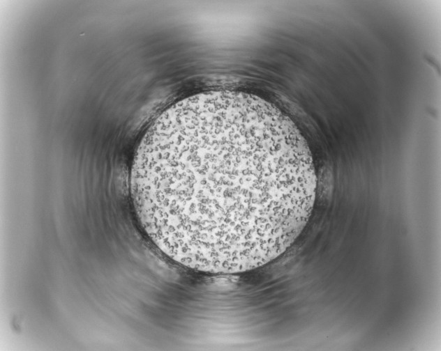 X0000100230474200806271754