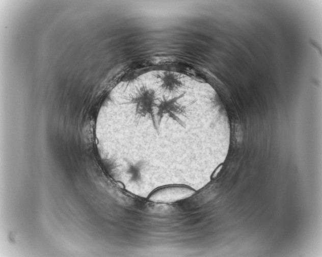 X0000100230475200806271754