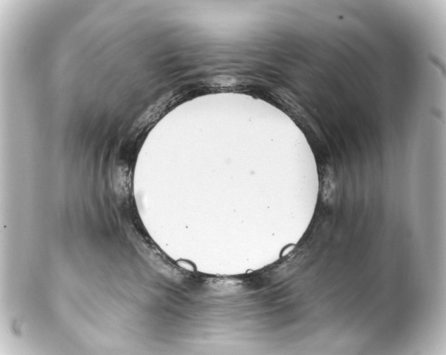 X0000100230476200806271754