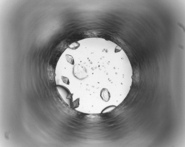 X0000100230477200806271754