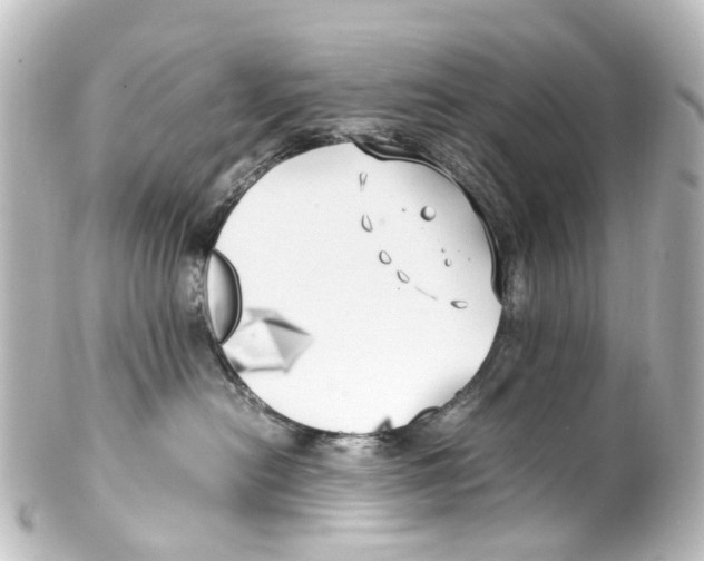 X0000100230478200806271754