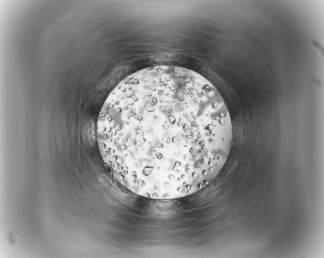 X0000100230479200806271754