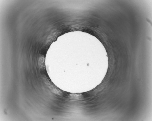 X0000100230480200806271754