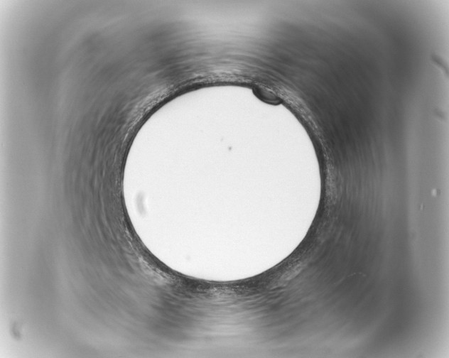 X0000100230481200806271753