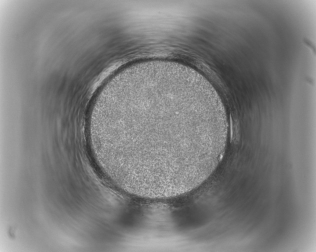 X0000100230483200806271753