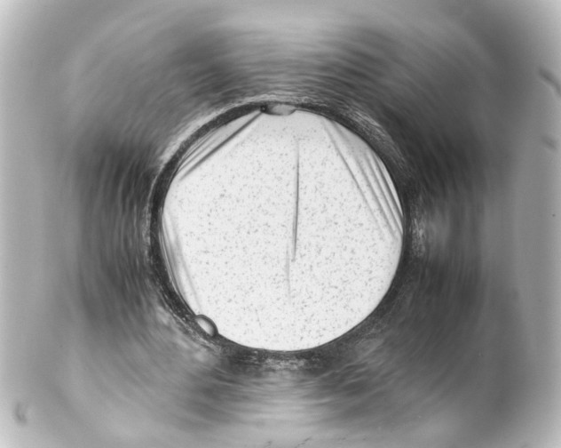 X0000100230484200806271753