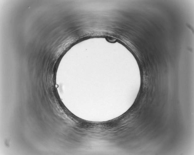 X0000100230485200806271753