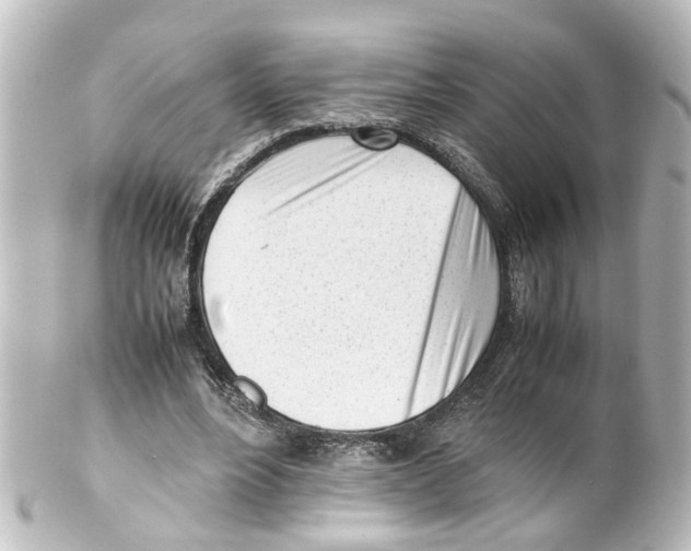 X0000100230488200806271753