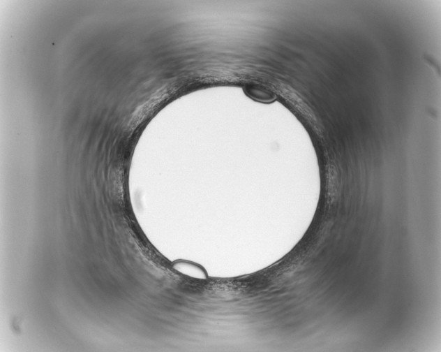 X0000100230489200806271753