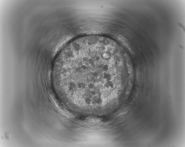 X0000100230491200806271753