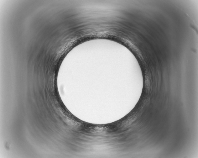 X0000100230493200806271753