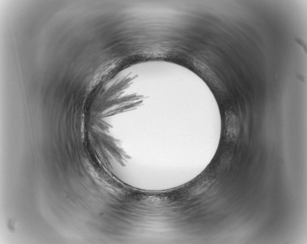 X0000100230494200806271753