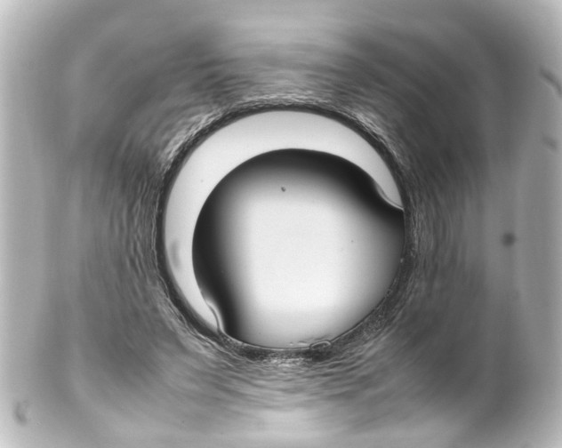 X0000100230495200806271753