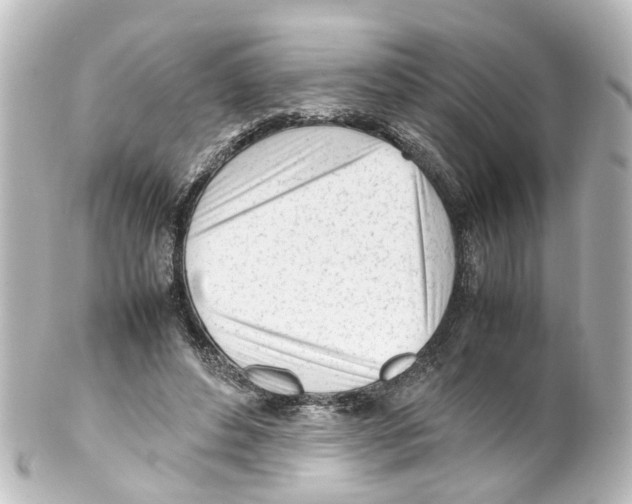 X0000100230496200806271753