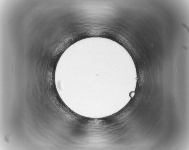 X0000100230497200806271753