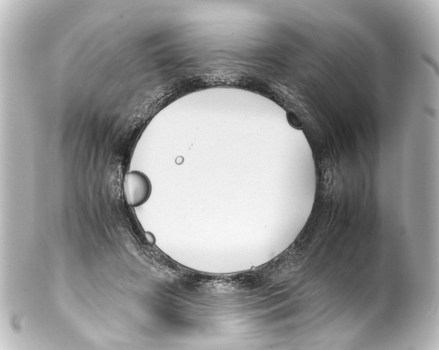 X0000100230498200806271753