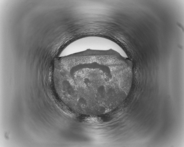 X0000100230499200806271753