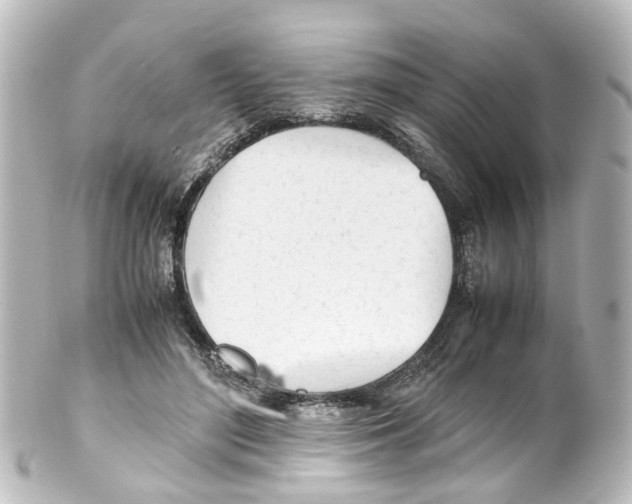 X0000100230500200806271753