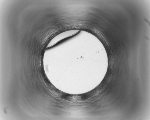 X0000100230501200806271753