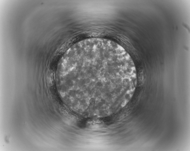 X0000100230503200806271753