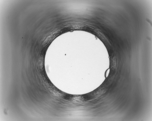 X0000100230505200806271753
