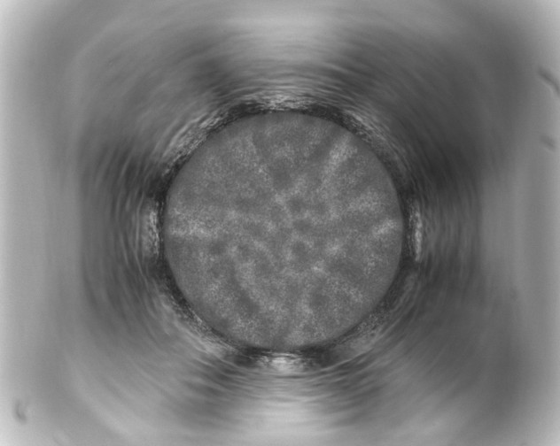 X0000100230506200806271753