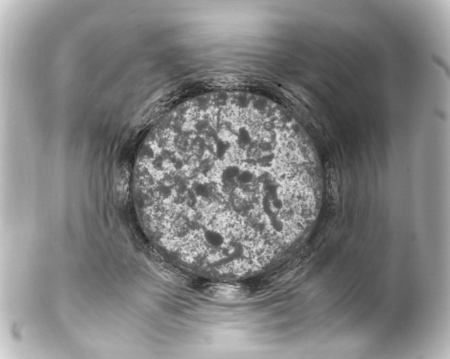X0000100230507200806271753