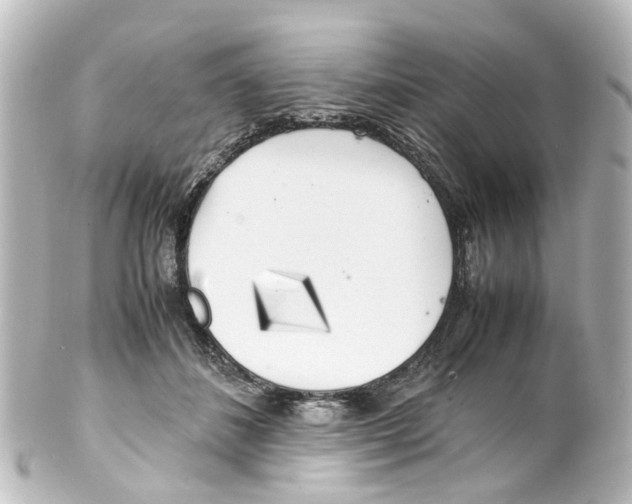 X0000100230508200806271753