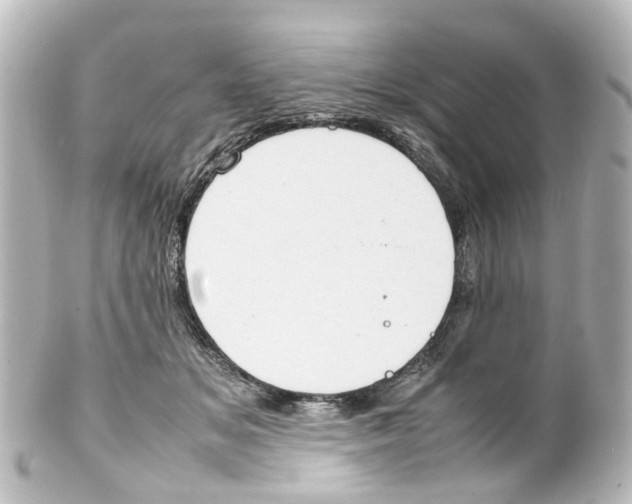 X0000100230509200806271753