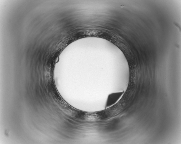 X0000100230510200806271753