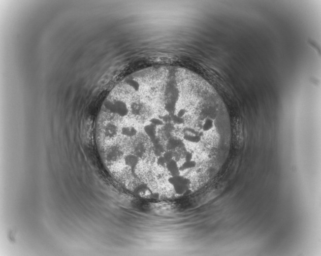 X0000100230511200806271753