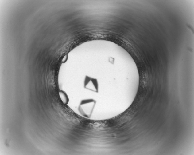 X0000100230512200806271753