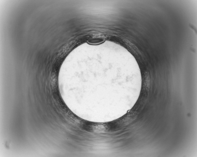 X0000100230513200806271753
