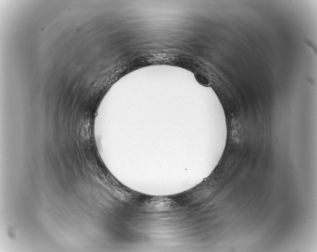 X0000100230514200806271753