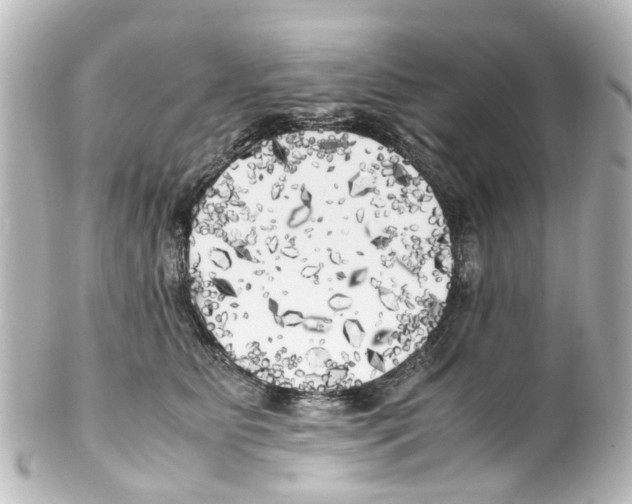 X0000100230515200806271753