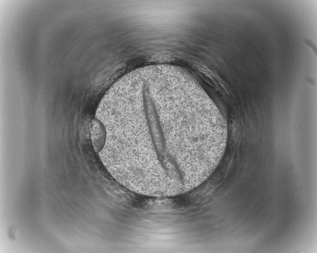 X0000100230517200806271753