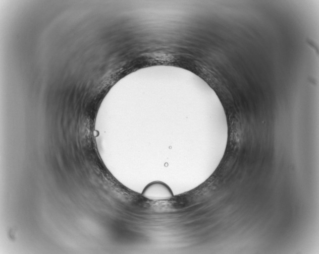 X0000100230518200806271753