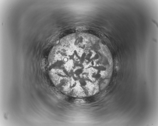 X0000100230519200806271753
