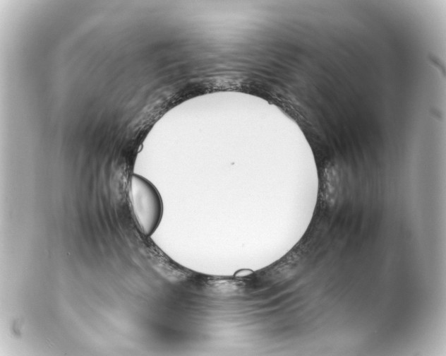 X0000100230522200806271753
