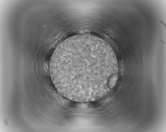 X0000100230523200806271753