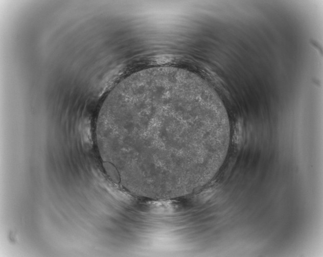 X0000100230524200806271753