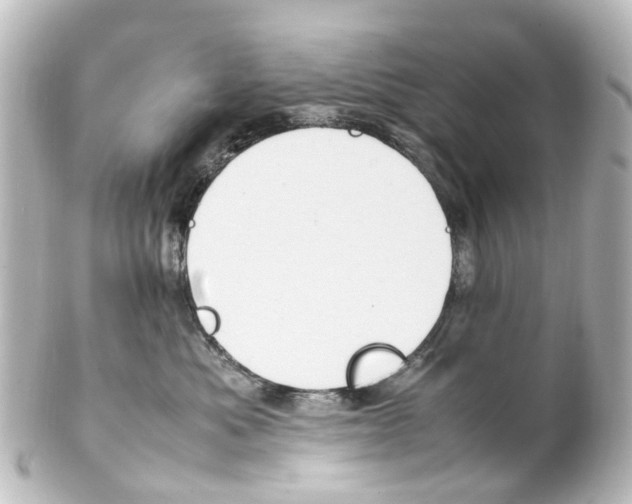 X0000100230525200806271753