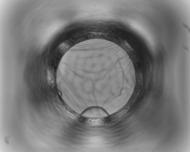 X0000100230526200806271753