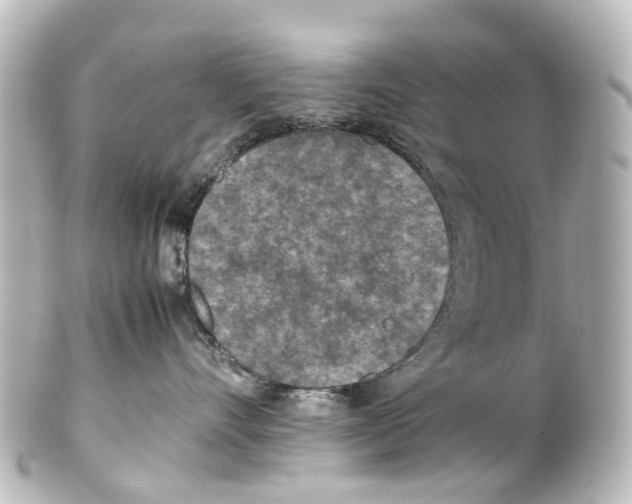 X0000100230528200806271753