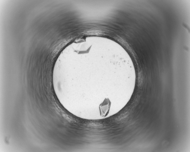 X0000100230529200806271752