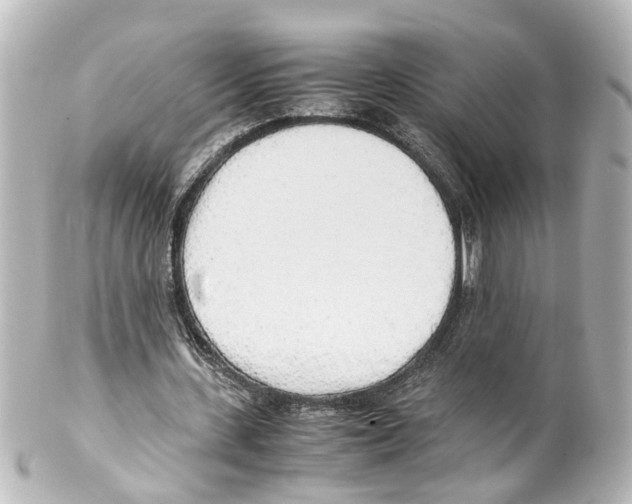 X0000100230531200806271752