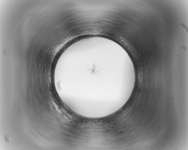 X0000100230532200806271752