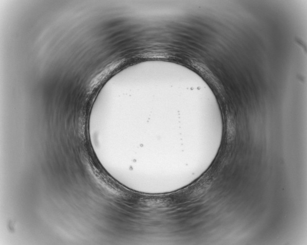 X0000100230533200806271752